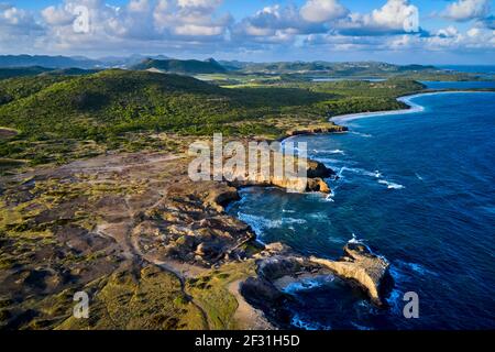 Frankreich, Westindien, Martinique, Sainte-Anne, Petrification Savannah Stockfoto