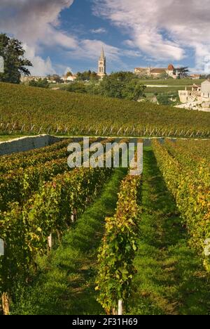 Saint Emilion Weindorf mit dramatischen blauen Himmel Blick entlang Die Reben aus dem Weinberg von Chateau Troplong Mondot Bordeaux Gironde Frankreich Stockfoto