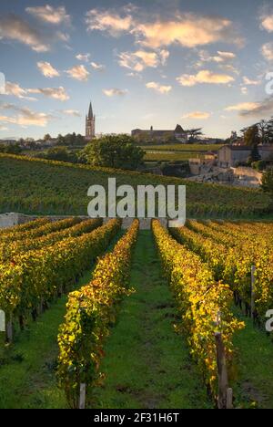 Saint Emilion bei Sonnenuntergang vom Weinberg des Chateau Troplong Mondot St. Emilion Gironde Frankreich Stockfoto