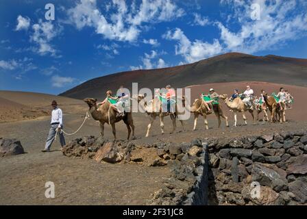 TIMANFAYA LANZAROTE Kamelzug Trekking mit Touristen im vulkanischen Timanfaya Nationalpark Lanzarote Kanarische Inseln Spanien Stockfoto