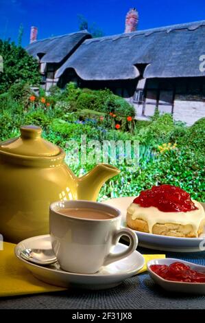 Englischer Clotted Cream Tea auf Alfresco Tisch, mit Reetgedeckten Cottage & Garten im Hintergrund. Stratford-upon-Avon England Großbritannien Stockfoto