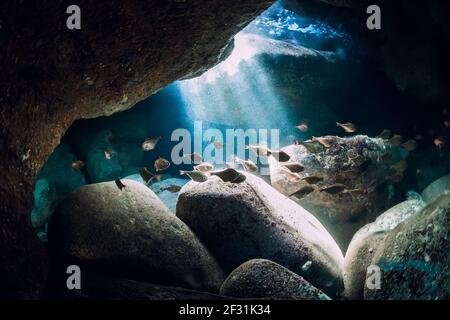 Unterwasser-Höhle im Ozean mit Sonnenstrahlen und Schule von Fisch Stockfoto