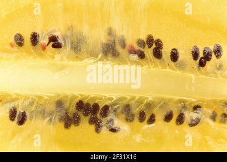 Ein halbreifer Bio-süßer leckerer goldener Kiwi in einem Längsschnitt, Nahaufnahme. Stockfoto