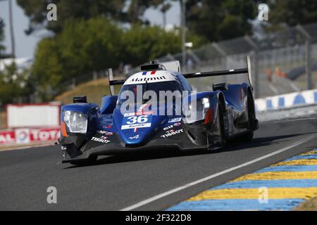 36 LAPIERRE Nicolas (Fra), NEGRAO André (BRA), THIRIET Pierre (Fra), Alpine A470 Gibson Team Signatech Alpine Matmut, Aktion während des 2019-Stunden-Testtages von Le Mans 24, am 2. Juni auf der Rennstrecke von Le Mans, Frankreich - Foto DPPI Stockfoto