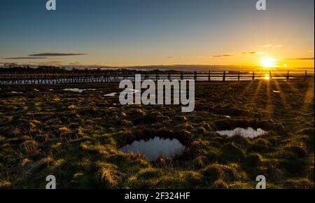 East Lothian, Schottland, Großbritannien, 14th. März 2021. UK Wetter: Sonnenuntergang im Aberlady Naturreservat. Die Sonne geht über das Feuchtgebiet in Aberlady Bay und die hölzerne Fußgängerbrücke unter und erleuchtet einen Neumond am Himmel Stockfoto