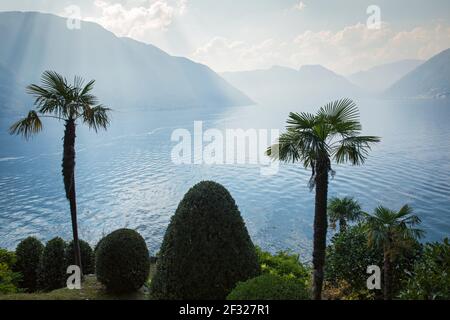 Italien, Lombardei, Lenno, Blick auf den Comer See mit Bergen und Palmen von der Villa del Balbianello Stockfoto