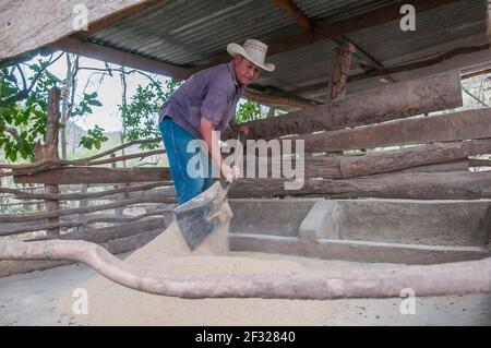 Rivas, Nicaragua. 07-15-2016. Ein Landwirt sammelt Sand in einer ländlichen Gegend Nicaraguas. Stockfoto