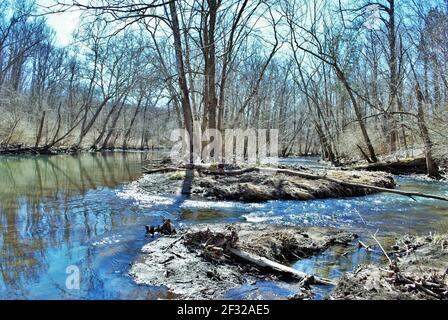 Little Miami River im Frühjahr in der Nähe der gelben Quellen ohio Stockfoto