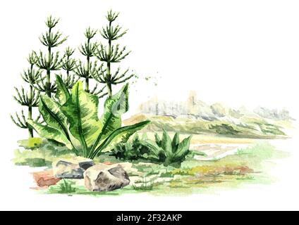 Prähistorische Landschaft. Aquarell handgezeichnete Illustration isoliert auf weißem Hintergrund Stockfoto