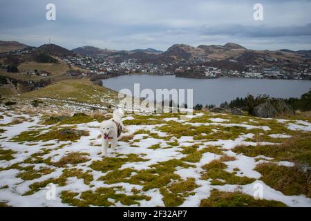 Atemberaubende Vogelperspektive auf gefrorenen See in Norwegen. Atemberaubende Fjordlandschaft im Winter, ruhige Schönheit der Natur Stockfoto