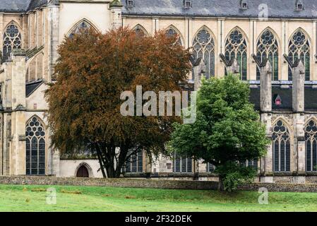 Bäume vor der gotischen Fassade des Altenberger Doms, Altenberger Stadtteil, Odenthal, Rheinisch-Bergischer-Kreis, Nordrhein-Westfalen Stockfoto