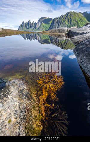 Gezeitenbecken, felsige Küste von Tungeneset, felsiger Gipfel Teufelszähne, Teufelszähne, Okshornan, Steinfjorden, Senja Island, Troms, Norwegen Stockfoto