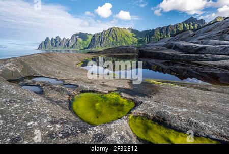 Gezeitenbecken, felsige Küste von Tungeneset, felsiger Gipfel Teufelszähne, Teufelszähne, Okshornan, Steinfjorden, Senja Island, Troms, Norwegen Stockfoto