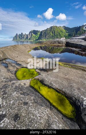 Gezeitenbecken, felsige Küste von Tungeneset, felsiger Gipfel Teufelszähne, Teufelszähne, Okshornan, Steinfjorden, Senja Island, Troms, Norwegen Stockfoto