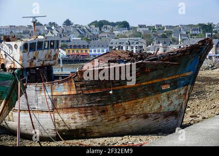 Schiffswracks Schiffsfriedhof im Hafen von Camaret-sur-Mer auf der Halbinsel Crozon, Finistere Penn ar Bed Department, Bretagne Breizh Region, Atlantik Stockfoto