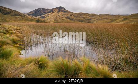 Ein landschaftlich schöner See vor einem Bergrücken an einem regnerischen Tag im Cajas Nationalpark bei Cuenca, Ecuador. Stockfoto