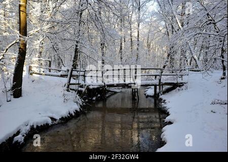 Winterlandschaft Furlbachtal, Bach des Furlbaches im Naturschutzgebiet, Nordrhein-Westfalen, Deutschland Stockfoto