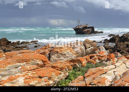 Schiffswrack, Kap Agulhas, Westkap, Südafrika Stockfoto