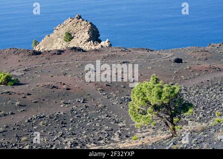 Vulkanimpressionen von Fuencaliente de La Palma Stockfoto