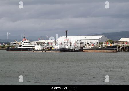 Einige der in Clyde ansässigen Seerco Marine Services-Flotte bei Greenock, von links nach rechts SD Eva, SD Oilman, SD Waterpress und SD1519EF Stockfoto