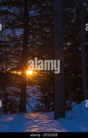 Die Wärme der Sonne an einem kalten Wintermorgen im nördlichen Wisconsin. Stockfoto