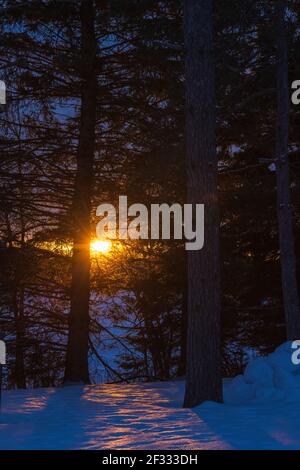 Die Wärme der Sonne an einem kalten Wintermorgen im nördlichen Wisconsin. Stockfoto