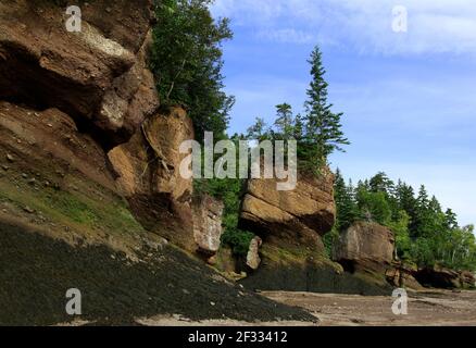 The Hopewell Rocks, Albert County, New Brunswick, Kanada Stockfoto