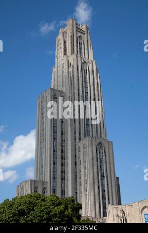 Die Kathedrale des Lernens bei Tageslicht mit blauem Himmel in Pittsburgh PA Stockfoto