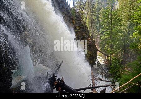 Turner Creek Falls während des Frühjahrsabflusses im Fish Lakes Canyon. Kootenai National Forest, Montana. (Foto von Randy Beacham) Stockfoto