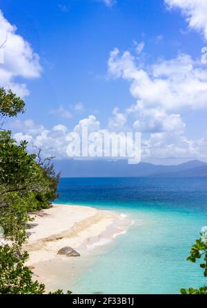 Queensland Australien das klare Wasser des Korallenmeeres trifft auf den warmen Sand des Nudey Beach auf Fitzroy Island, der zwischen den Dschungelbäumen zu sehen ist. Stockfoto