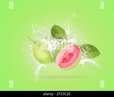 Wasser spritzt auf grüne Guava Frucht über grünem Hintergrund. Stockfoto