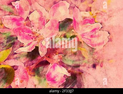 Weiche rosa Blüten von Apfelbaum blühen im Frühjahr, Foto Manipulation, digitale Aquarell-Effekt. Stockfoto