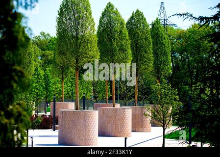 Große Bäume in runden Steingartentöpfen im modernen öffentlichen Park. Stockfoto