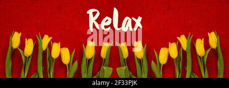 Baner Of Yellow Tulip Flowers, Red Background, Text Relax Stockfoto