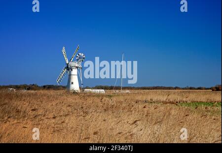 Ein Blick auf das Wahrzeichen Thurne Dyke Drainage Mill über Schilfbetten am Fluss Thurne auf den Norfolk Broads in Thurne, Norfolk, England, Vereinigtes Königreich. Stockfoto