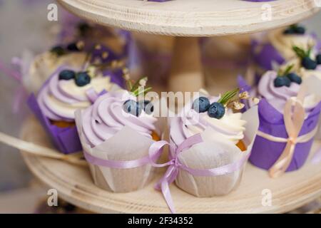 Vanille Cupcakes mit Lavendelcreme. Thematische Muffins. Cupcakes mit Sahne in Papiertulip Form, mit Heidelbeeren, Rosmarin, Blumen, gebunden verziert Stockfoto