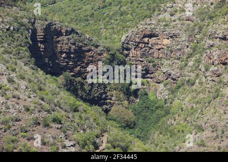 Der herzförmige Wasserfall über Jamestown auf der Insel St. Helena Stockfoto