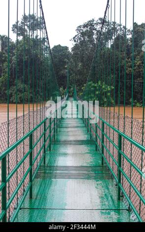 Hochwasser in kerala 2019 Stockfoto