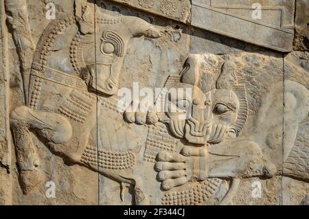 Berühmte Flachrelief Schnitzerei eines Löwen Jagd auf einen Stier in den Ruinen von Persepolis, ein UNESCO-Weltkulturerbe im Iran Stockfoto