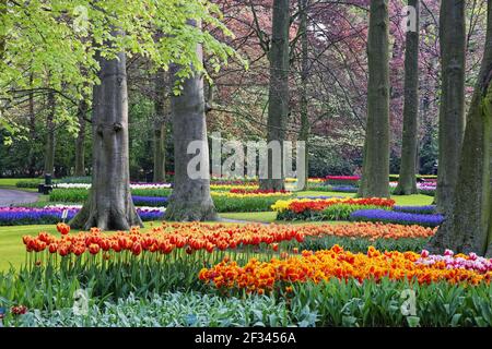 Keukenhof Gärten in SpringTulip Betten und andere Frühlingsblumen Niederlande PL001494 Stockfoto