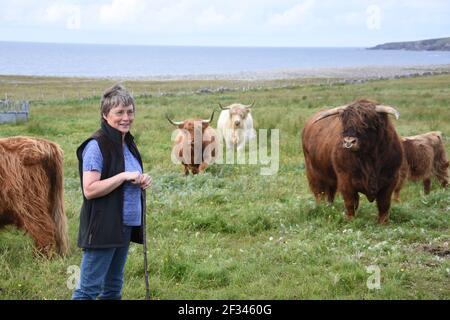 Highland Cattle, Isle of Lewis, Western Isles Stockfoto