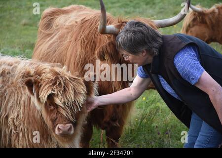 Bäuerin, Lesley Matheson, Highland Cattle, Isle of Lewis, Western Isles, Schottland. VEREINIGTES KÖNIGREICH Stockfoto