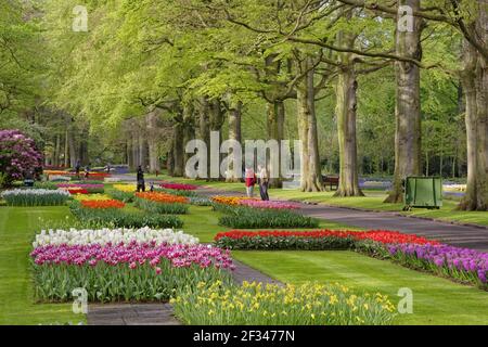 Keukenhof Gärten in SpringTulip Betten und andere Frühlingsblumen Niederlande PL001529 Stockfoto