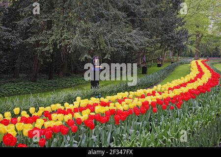 Keukenhof Gärten in SpringTulip Betten und andere Frühlingsblumen Niederlande PL001531 Stockfoto