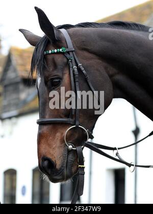 Aktenfoto vom 17-02-2020 von Trainer Nicky Henderson und Altior. Ausgabedatum: Montag, 15. März 2021. Stockfoto