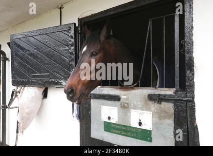 Aktenfoto vom 25-02-2021 von Altior. Ausgabedatum: Montag, 15. März 2021. Stockfoto