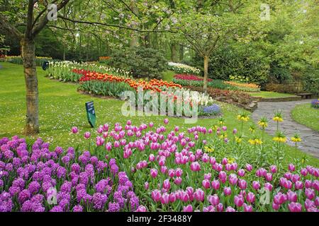 Keukenhof Gärten in SpringTulip Betten und andere Frühlingsblumen Niederlande PL001552 Stockfoto