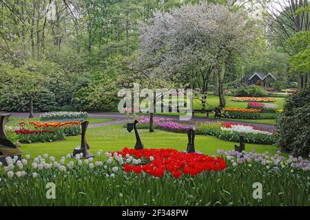 Keukenhof Gärten in SpringTulip Betten und andere Frühlingsblumen Niederlande PL001568 Stockfoto