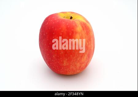 Roter Apfel photraphed im Studio Stockfoto