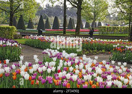 Keukenhof Gärten in SpringTulip Betten und andere Frühlingsblumen Niederlande PL001574 Stockfoto